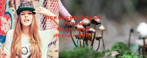 индика Зеленодольск