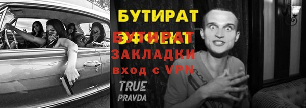 индика Зеленодольск