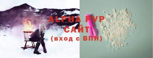 индика Зеленодольск