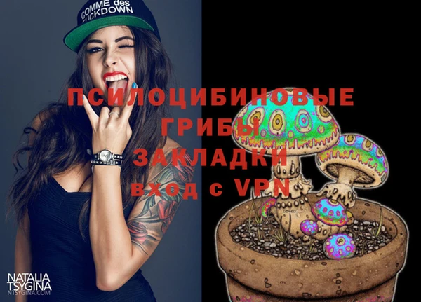 индика Зеленодольск
