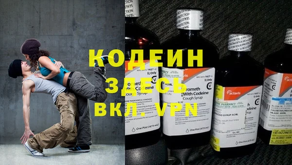 индика Зеленодольск