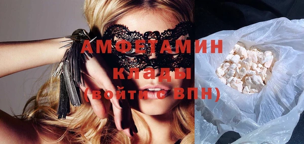 индика Зеленодольск