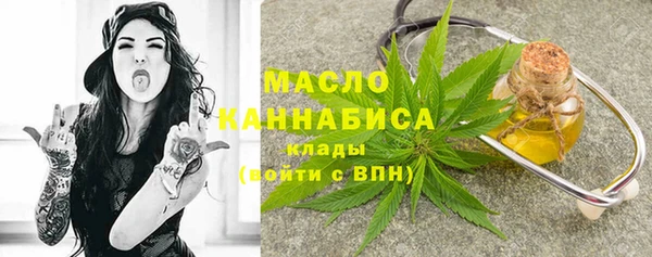индика Зеленодольск