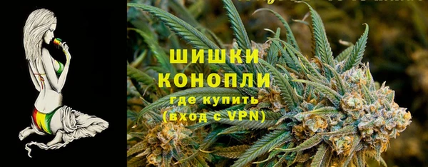 индика Зеленодольск