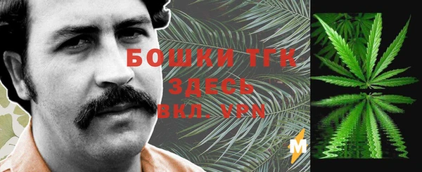 индика Зеленодольск