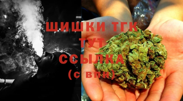 индика Зеленодольск