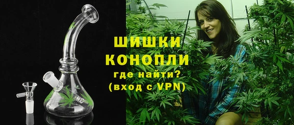 индика Зеленодольск