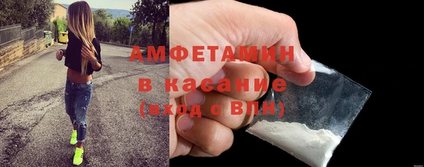 индика Зеленодольск